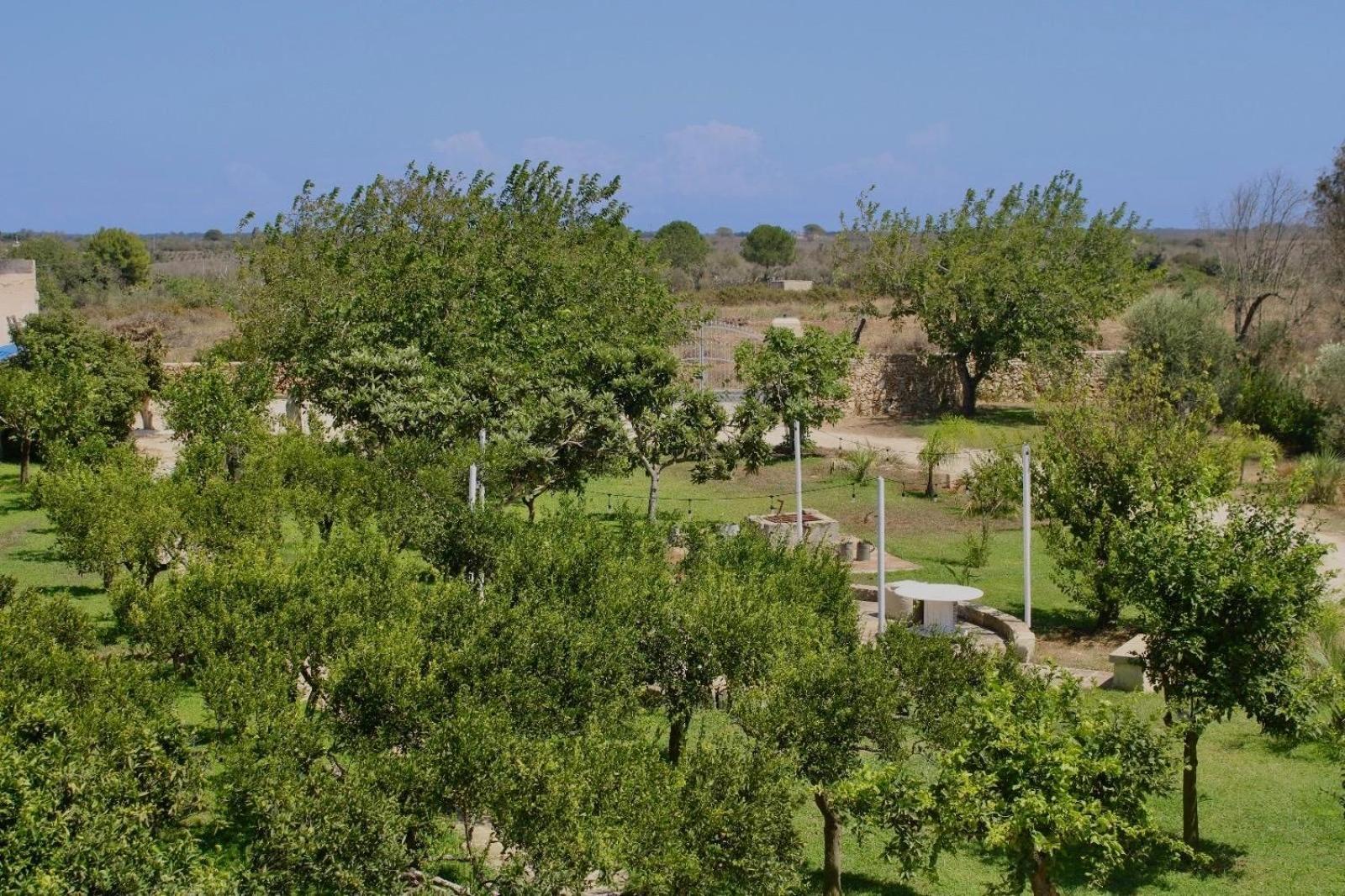 Tenuta Lu Beddhru Melendugno Esterno foto