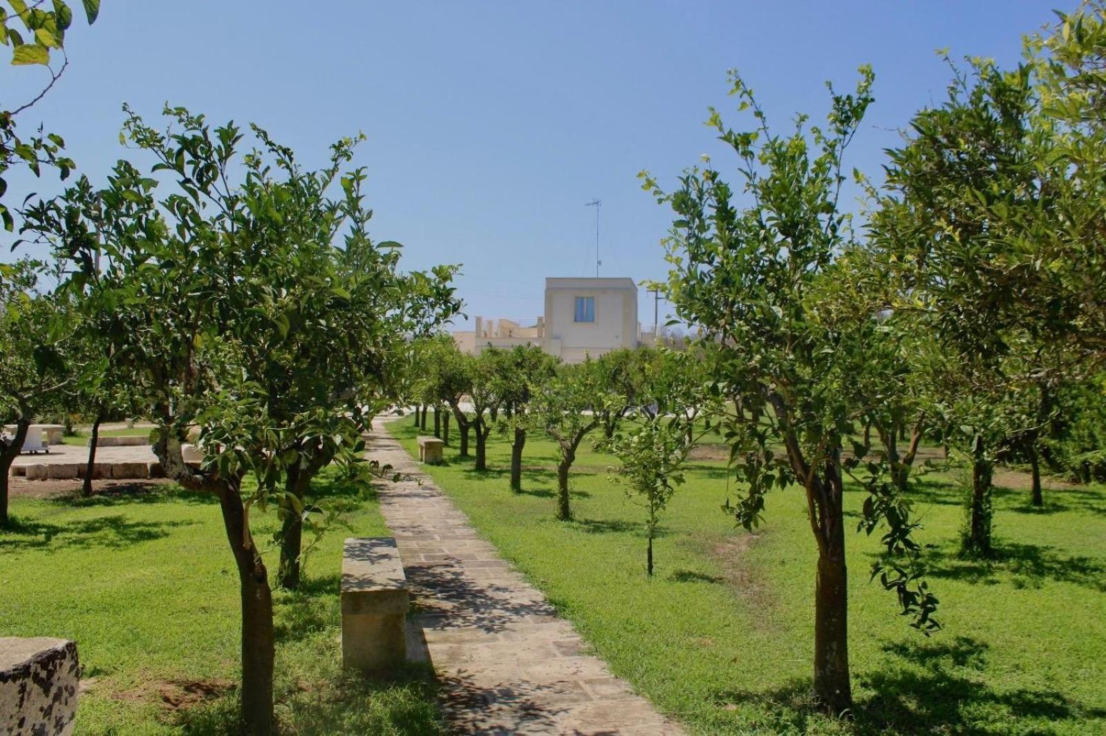 Tenuta Lu Beddhru Melendugno Esterno foto
